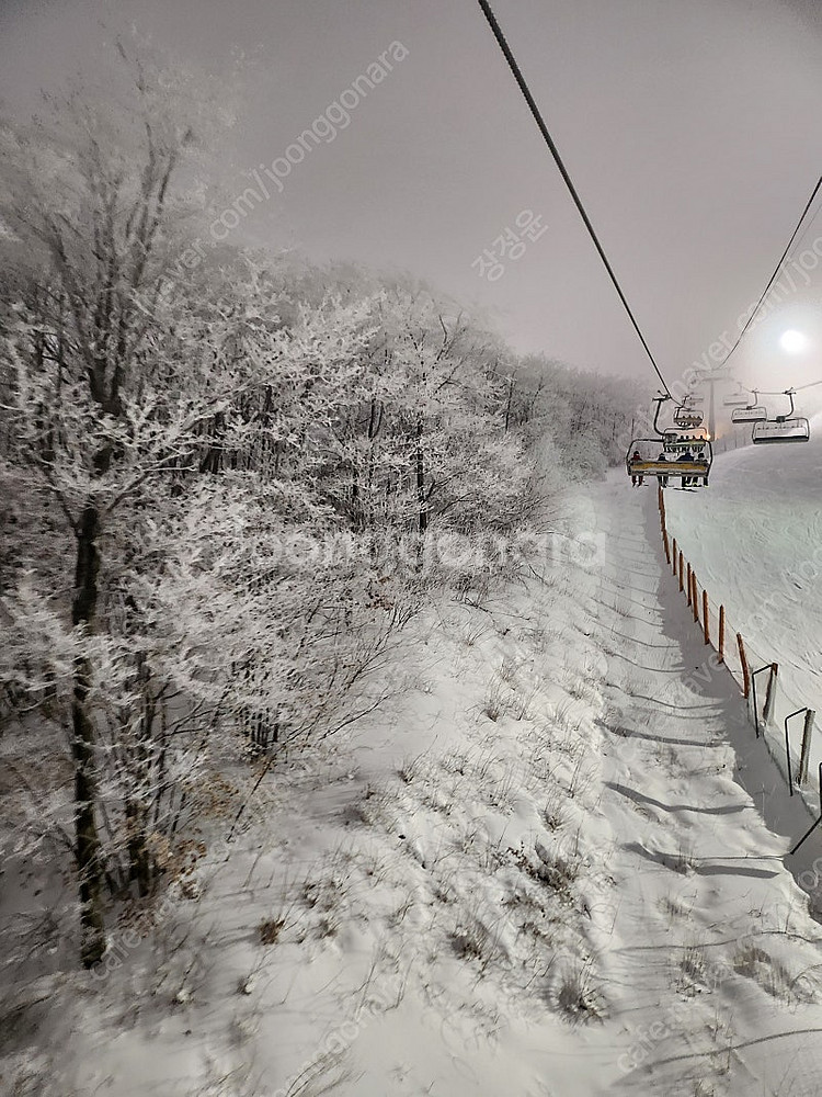 하이원 스키/스노우보드 강습(주니어 기술등급 가능) 유아강습.초급.중급.상급강습.레벨준비반--6